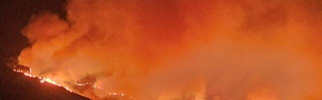 ВИДЕО | На Тенерифе бушует пожар. Туристов и местных жителей эвакуируют