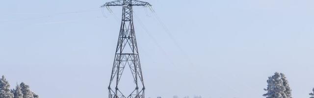 ГРАФИКИ | Тыну Мертсина: на основании январских цен на электроэнергию не стоит принимать поспешных решений