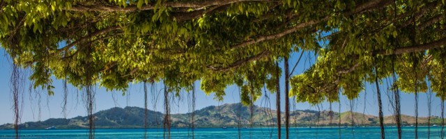 Фиджи откроются для иностранных туристов в ноябре