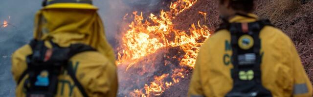 Правда ли, что пожарные в Лос-Анджелесе тушат огонь, набирая воду в дамские сумочки?