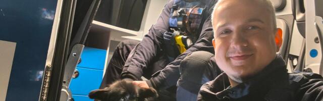 Патрульные полицейские спасли в Нарва-Йыэсуу замерзающую на морозе собаку
