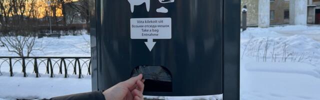 В Нарве разворовывают пакеты для собачьих экскрементов. Серьезно?