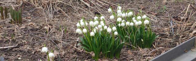 Весенняя уборка начинается