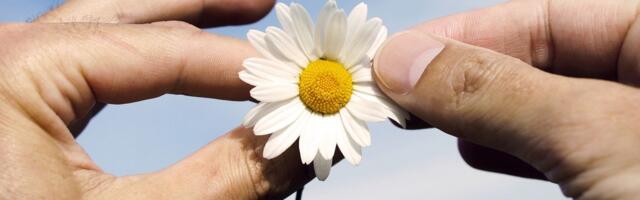 В четверг в Эстонии воздух прогреется местами до 30 градусов