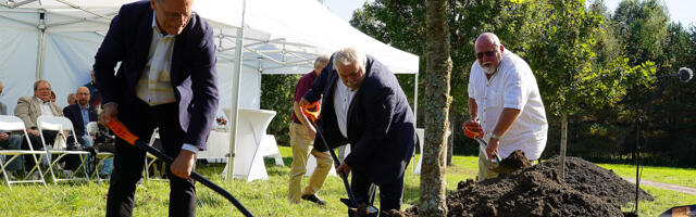 ФОТО: в дубовом парке появились новые деревья