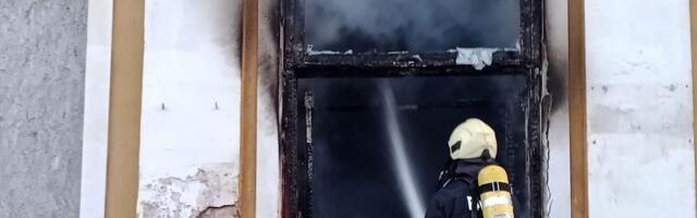 В пожаре погибли 500 перепелов