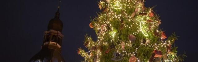 В Риге зажгут главную рождественскую елку