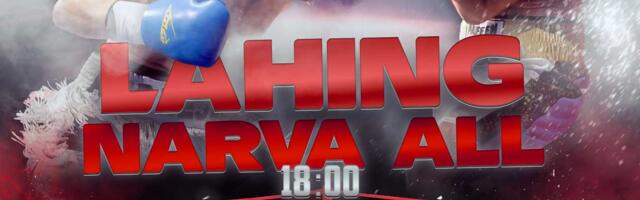 В Нарве пройдёт международный турнир по боксу