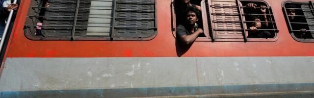 Пассажирский поезд сбил стадо слонов в Индии