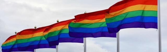 Пропаганду ЛГБТ внесли в список запрещённого в России контента