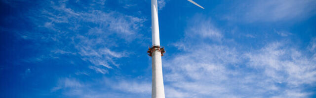 Эстония постепенно отказывается от цели полного перехода на возобновляемую электроэнергию