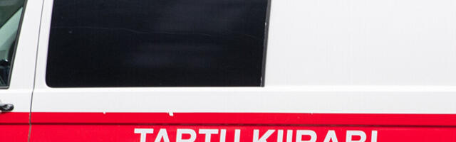 В Тартумаа на ехавший автомобиль упало дерево