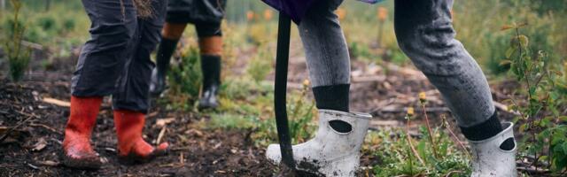 RMK сократит 75 сотрудников