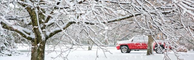 В субботу ожидается до семи градусов тепла