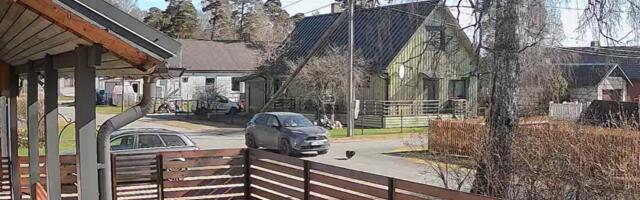 Полиция: инцидент с задавленной собакой в Хаапсалу был несчастным случаем