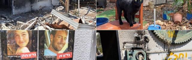 Кровь, развалины и кошки: как выглядит кибуц Нир-Оз, разрушенный террористами два года назад