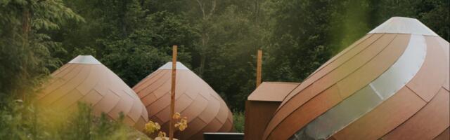 Это вообще что? Купольные домики для ночёвки недалеко от Таллинна — выглядят как арт-объект