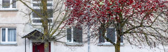 Памятка покупателя квартиры: какую информацию о КТ нужно проверить перед заключением сделки?