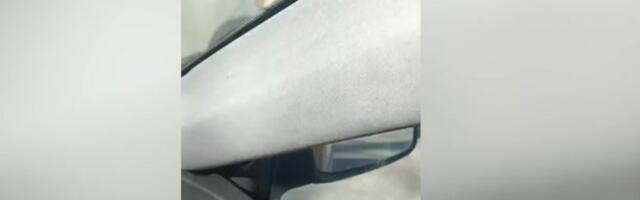 ВИДЕО | Столичную улицу захватили крысы. Жители в шоке