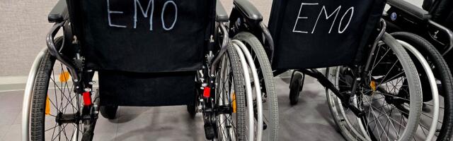 Направление для EMO — какая поддержка идеи у жителей Эстонии