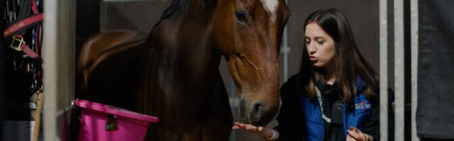 "Горизонт" на Tallinn Horse Show: для артистов французского Caval'Show в седле нет невозможного