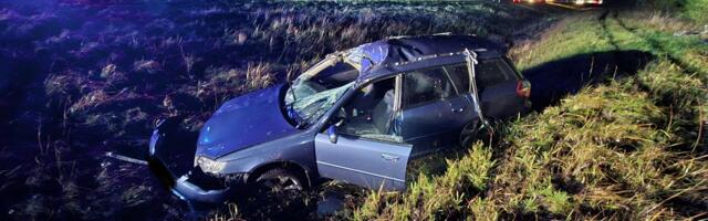 На шоссе Таллинн–Нарва автомобиль сбил лося: водитель доставлен в больницу