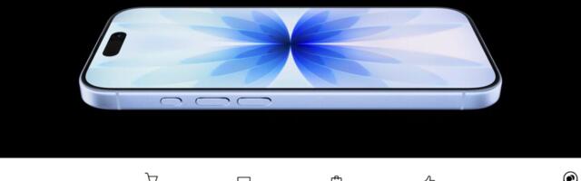 Второе пришествие обанкротившегося интернет-магазина: клиенты снова просят помощи