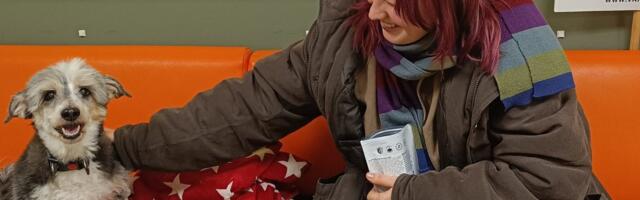 Редкость: в Таллинском приюте для животных впервые нет ни одной собаки