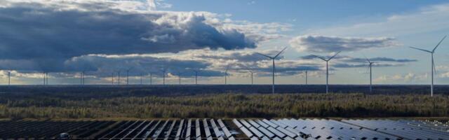 Крупнейший солнечный парк Балтии находится в Эстонии — и теперь он поддерживает стабильность в энергосети 