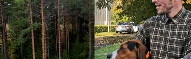 "Очевидец": браконьерство в Эстонии, Библия – повод для убийства, пилот без лицензии