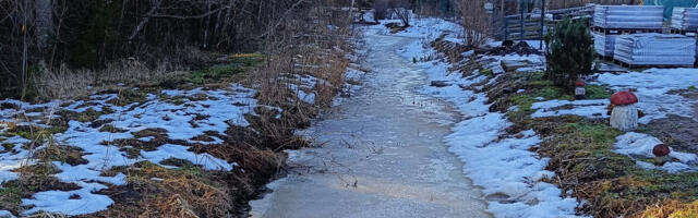 В Нарва-Йыэсуу запускают проект по борьбе с наводнениями