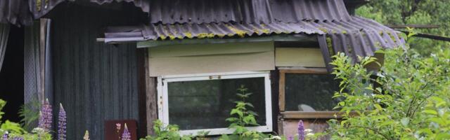 Эстонцы покупают дачи в Финляндии: у нас за те же деньги можно найти только лачугу с провалившейся крышей