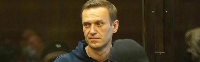 Если я выходила в России под дубинки, почему я не должна делать это здесь, в безопасности?