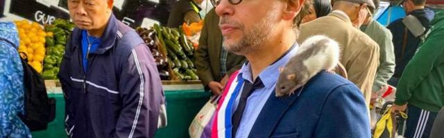 Французский политик призвал перестать бороться с крысами