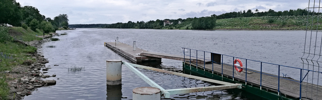 Четверо африканцев собирались переплыть Нарову, чтобы попасть Эстонию, но «моржи» были пойманы