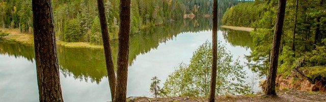 Прогулки у воды: 14 живописных троп Эстонии, которые ведут мимо рек и озер