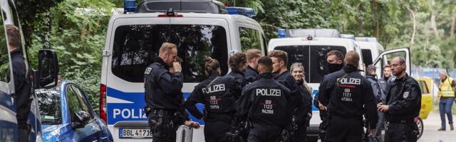 ВИДЕО | Наделавшая в Берлине шуму львица оказалась диким кабаном