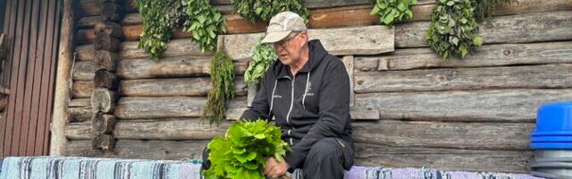 Из-за капризной погоды заготовка веников откладывается