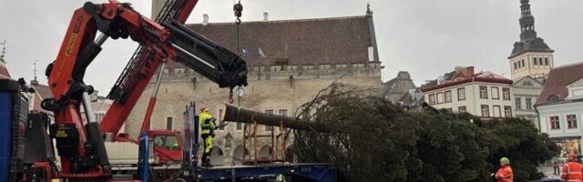 Таллиннская рождественская ярмарка откроется в пятницу