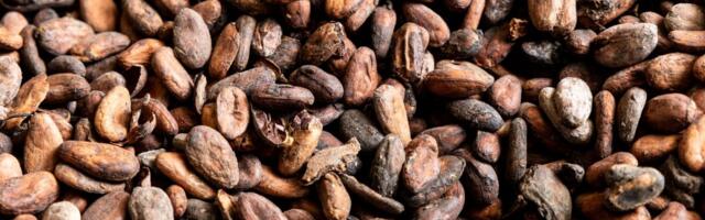 В ноябре импорт рос быстрее экспорта