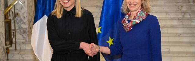 Кая Каллас: ЕС не нужен специальный представитель по России — моя должность уже существует