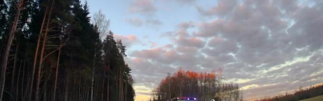 ВИДЕО |  Цепная авария из-за собаки: на трассе в Пярнумаа столкнулись три автомобиля