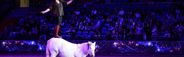 В фестивале конного спорта в Таллинне примут участие свыше 170 наездников