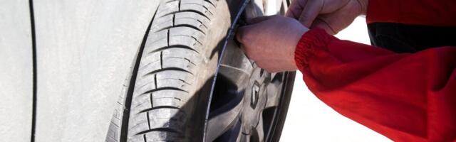 Шинный бизнес выплатил владельцам щедрые дивиденды