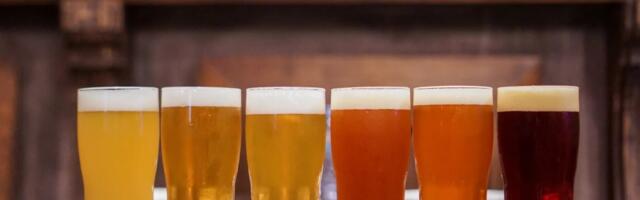 350 сортов пива в одном месте: в Таллинне снова пройдет фестиваль крафтового пива