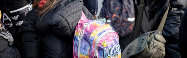 Эстония должна принять решение по приему 79 беженцев