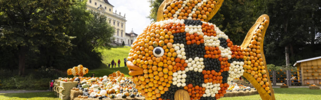 ФОТО | В Германии проходит самая большая в мире выставка тыкв