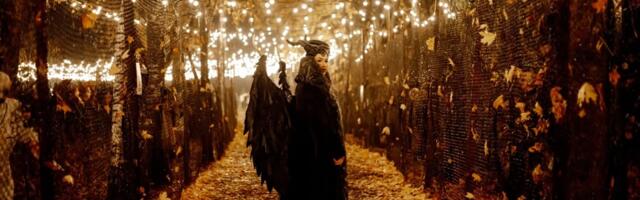 Аллея ужасов, световой лес и дом кошмаров: в Таллинне открывается большой Хэллоуин-парк