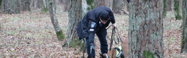 В Литве в лесу нашли мертвого мужчину и замерзшую женщину