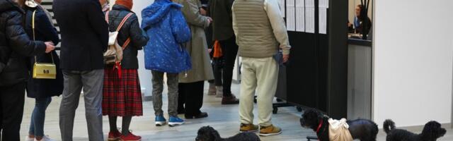 Предприниматели Таллинна о выборах: доверие пошатнулось, балаган закончится нескоро